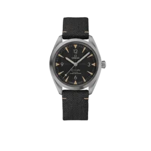 Omega Railmaster 220.12.40