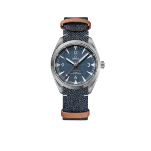 Omega Railmaster Co‑Axial Master 40