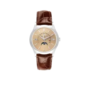 Patek Philippe Complications Perpetual Calendar Platinum Mens Watch 5496P